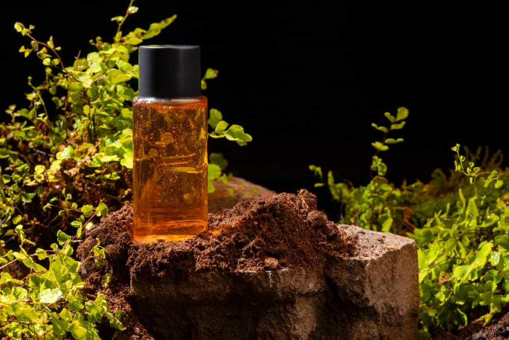 Perfumes Amaderados para Hombres