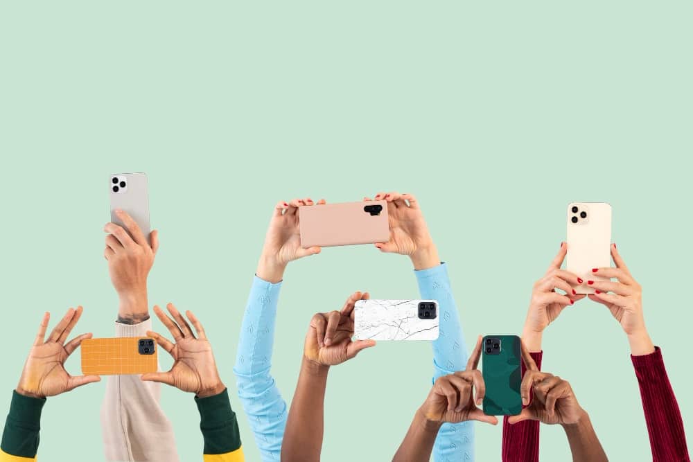 celular 006 El equilibrio de la inducción